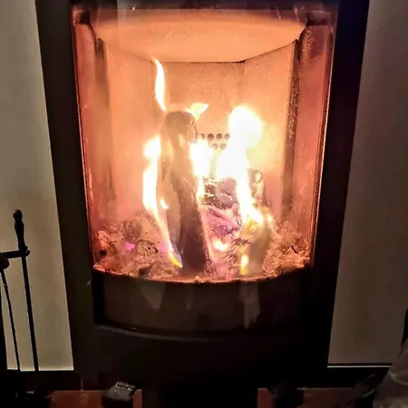 Casa Palmeria , Quinta Da Saudade Дом отдыха *