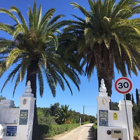 Casa Palmeria , Quinta Da Saudade *