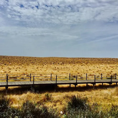 Casa de Férias Casa Palmeria , Quinta Da Saudade
