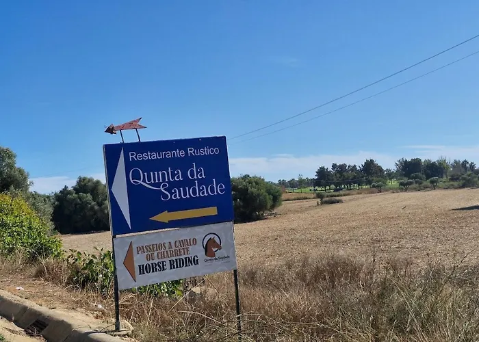 Casa Palmeria , Quinta Da Saudade Dom wakacyjny *