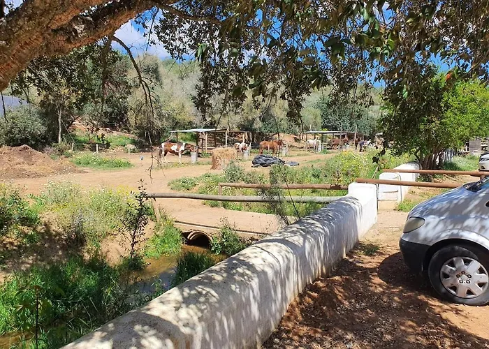 Casa Palmeria , Quinta Da Saudade *