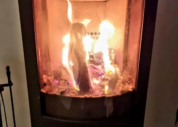 Casa Palmeria , Quinta Da Saudade Dom wakacyjny *