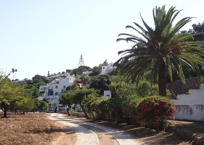 Dom wakacyjny Casa Palmeria , Quinta Da Saudade Armação de Pêra