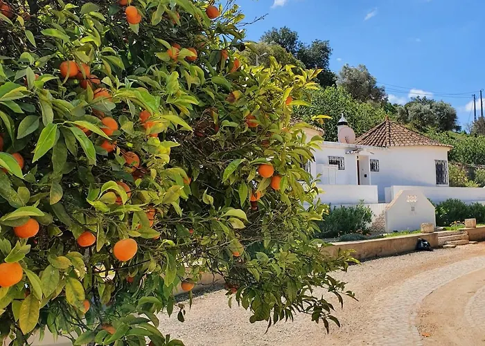 Casa Palmeria , Quinta Da Saudade *