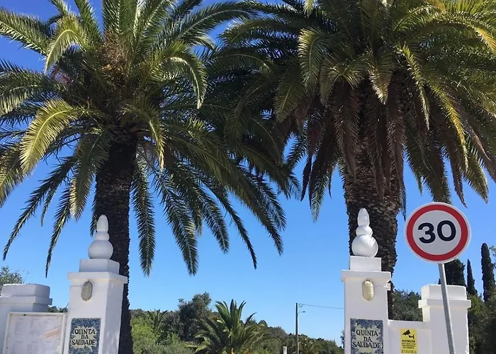 Casa Palmeria , Quinta Da Saudade *