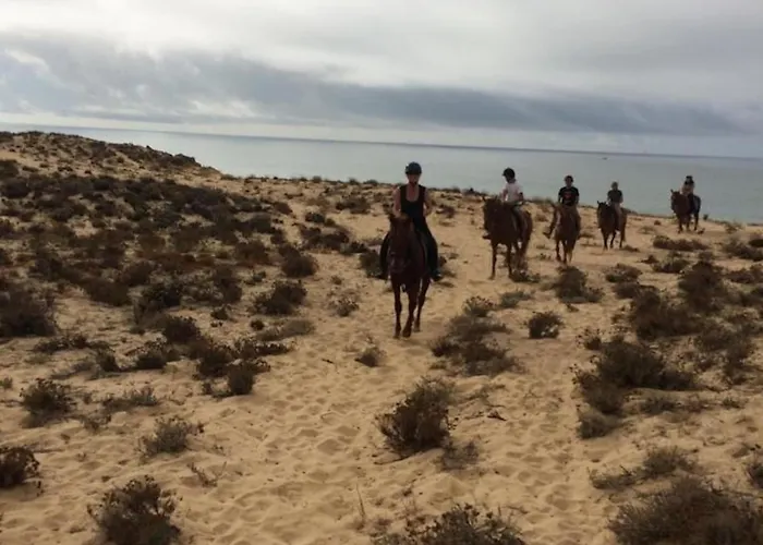Dom wakacyjny Casa Palmeria , Quinta Da Saudade Armação de Pêra