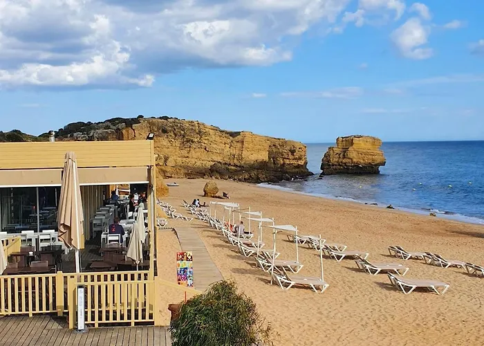 Dom wakacyjny Casa Palmeria , Quinta Da Saudade *