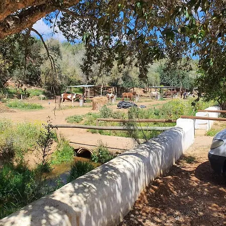 Casa Palmeria , Quinta Da Saudade *