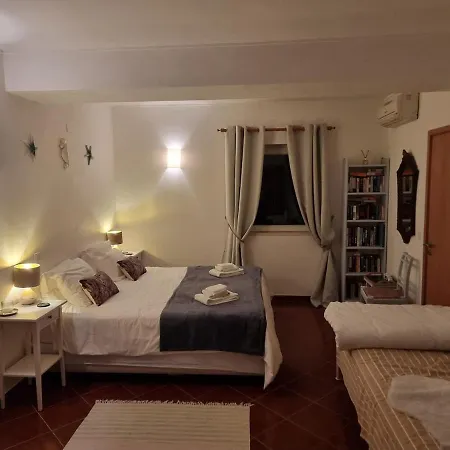 Casa Palmeria , Quinta Da Saudade 펜션 *