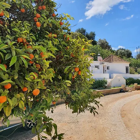 Casa Palmeria , Quinta Da Saudade *