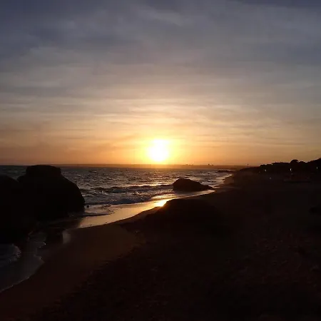 펜션 Casa Palmeria , Quinta Da Saudade