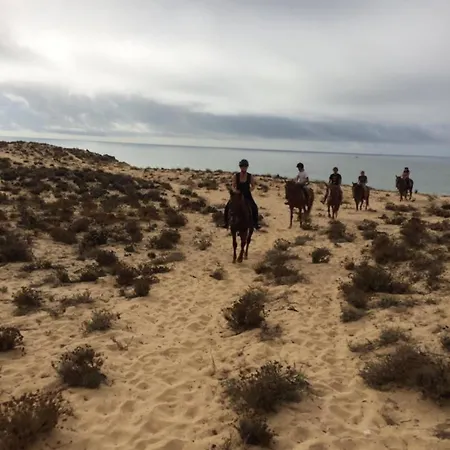 펜션 Casa Palmeria , Quinta Da Saudade Armação de Pêra